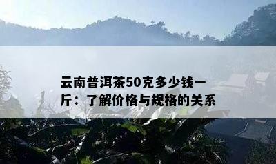 云南普洱茶50克多少钱一斤：了解价格与规格的关系