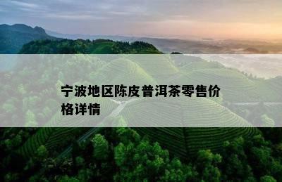 宁波地区陈皮普洱茶零售价格详情