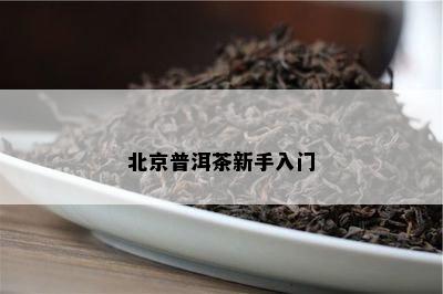 北京普洱茶新手入门