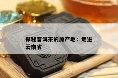 探秘普洱茶的原产地：走进云南省