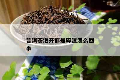 普洱茶泡开都是碎渣怎么回事