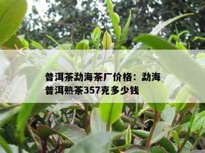 普洱茶勐海茶厂价格：勐海普洱熟茶357克多少钱