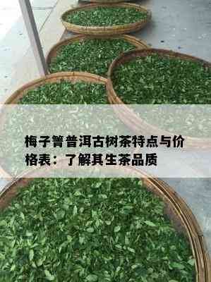 梅子箐普洱古树茶特点与价格表：了解其生茶品质