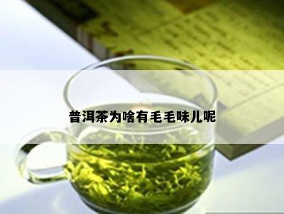 普洱茶为啥有毛毛味儿呢