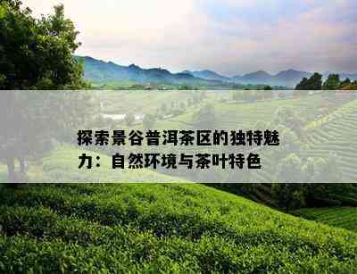 探索景谷普洱茶区的独特魅力：自然环境与茶叶特色