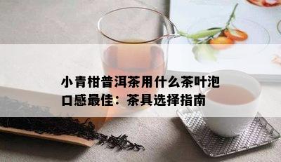 小青柑普洱茶用什么茶叶泡口感更佳：茶具选择指南