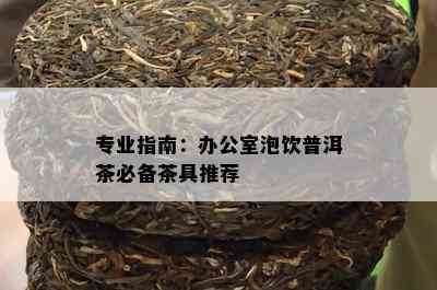 专业指南：办公室泡饮普洱茶必备茶具推荐