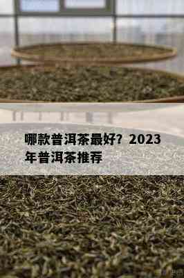 哪款普洱茶更好？2023年普洱茶推荐