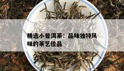 精选小普洱茶：品味独特风味的茶艺佳品