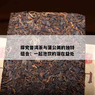 探究普洱茶与蒲公英的独特组合：一起泡饮的潜在益处