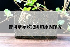 普洱茶导致犯困的原因探究