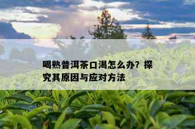 喝熟普洱茶口渴怎么办？探究其原因与应对方法