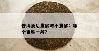 普洱茶后发酵与不发酵：哪个更胜一筹？