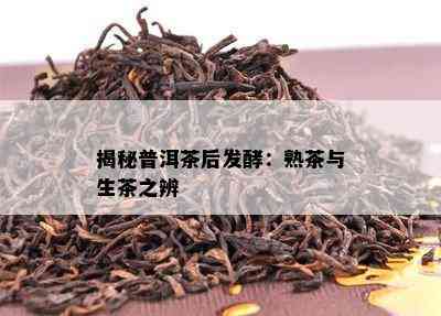 揭秘普洱茶后发酵：熟茶与生茶之辨