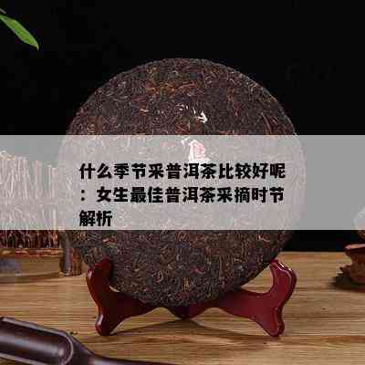 什么季节采普洱茶比较好呢：女生更佳普洱茶采摘时节解析