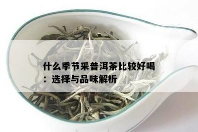 什么季节采普洱茶比较好喝：选择与品味解析