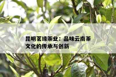 昆明茗缘茶业：品味云南茶文化的传承与创新