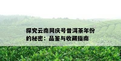 探究云南同庆号普洱茶年份的秘密：品鉴与收藏指南