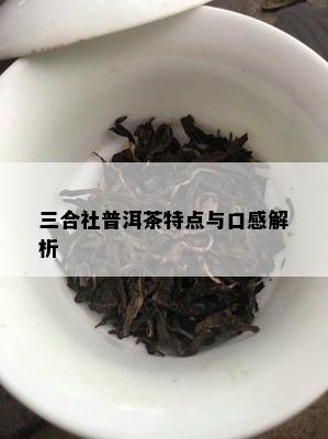 三合社普洱茶特点与口感解析