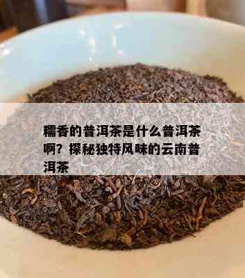 糯香的普洱茶是什么普洱茶啊？探秘独特风味的云南普洱茶