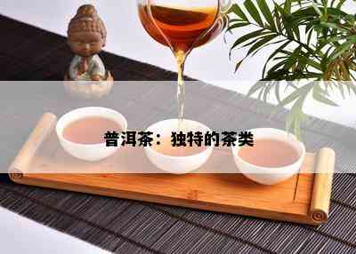 普洱茶：独特的茶类