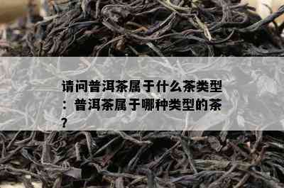 请问普洱茶属于什么茶类型：普洱茶属于哪种类型的茶？