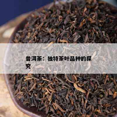 普洱茶：独特茶叶品种的探究