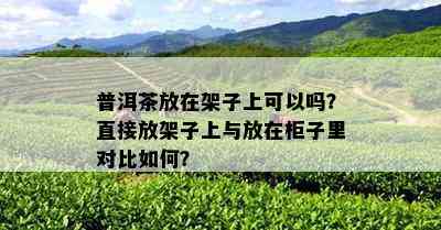 普洱茶放在架子上可以吗？直接放架子上与放在柜子里对比如何？