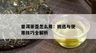 普洱茶壶怎么用：挑选与使用技巧全解析