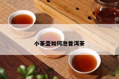 小茶壶如何泡普洱茶