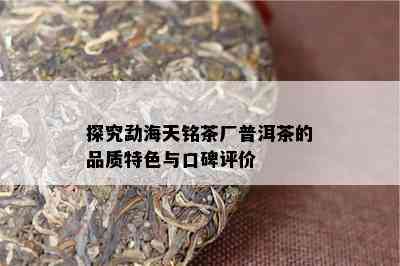 探究勐海天铭茶厂普洱茶的品质特色与口碑评价