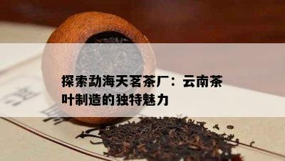 探索勐海天茗茶厂：云南茶叶制造的独特魅力