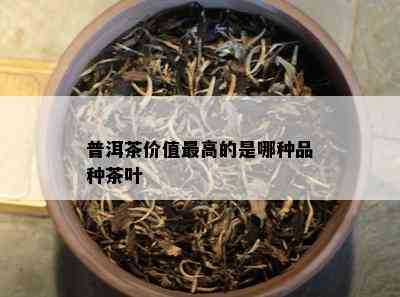 普洱茶价值更高的是哪种品种茶叶