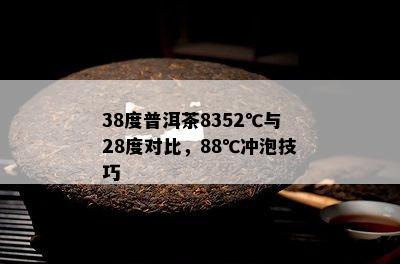 38度普洱茶8352℃与28度对比，88℃冲泡技巧