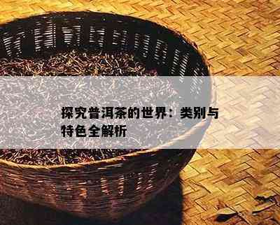 探究普洱茶的世界：类别与特色全解析