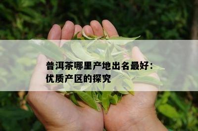 普洱茶哪里产地出名更好：优质产区的探究