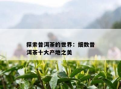 探索普洱茶的世界：细数普洱茶十大产地之美