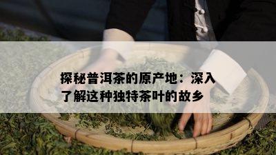 探秘普洱茶的原产地：深入了解这种独特茶叶的故乡