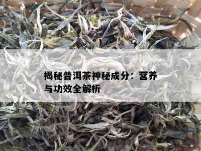 揭秘普洱茶神秘成分：营养与功效全解析