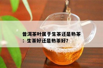 普洱茶叶属于生茶还是熟茶：生茶好还是熟茶好？