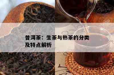 普洱茶：生茶与熟茶的分类及特点解析