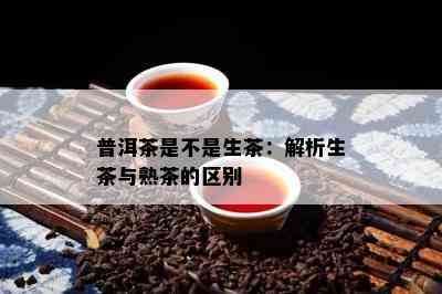 普洱茶是不是生茶：解析生茶与熟茶的区别