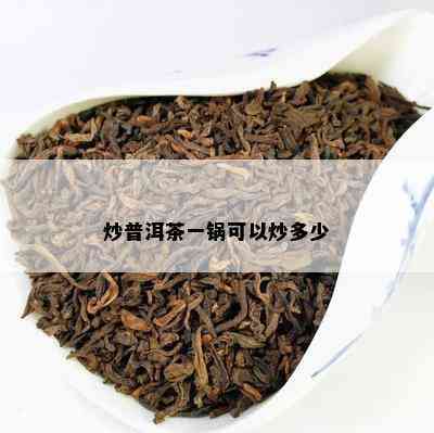 炒普洱茶一锅可以炒多少