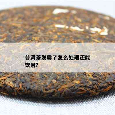 普洱茶发霉了怎么处理还能饮用？