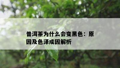 普洱茶为什么会变黑色：原因及色泽成因解析