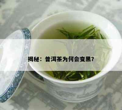 揭秘：普洱茶为何会变黑？