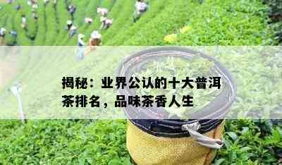 揭秘：业界公认的十大普洱茶排名，品味茶香人生