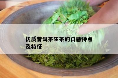 优质普洱茶生茶的口感特点及特征