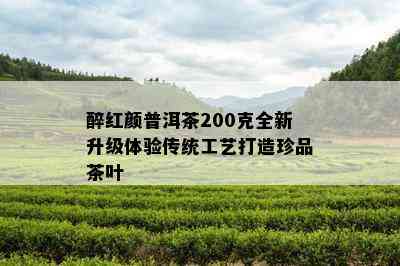 醉红颜普洱茶200克全新升级体验传统工艺打造珍品茶叶