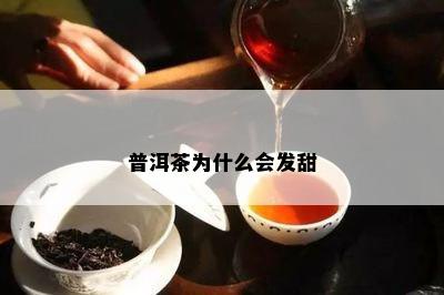 普洱茶为什么会发甜